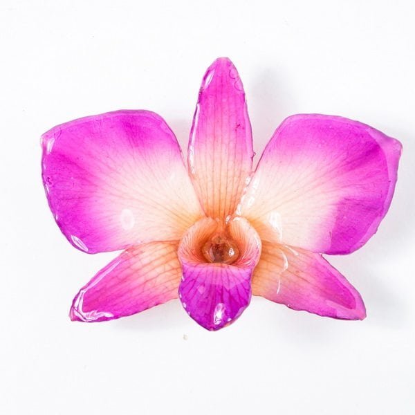 Real flower jewelry wholesale round Dendrobium pendant in purple color