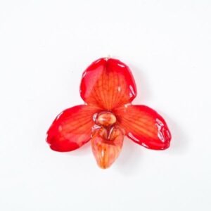 Real flower jewelry small Bellatulum pendant in pink color