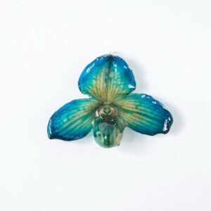 Real flower jewelry wholesale small Bellatulum pendant in blue color