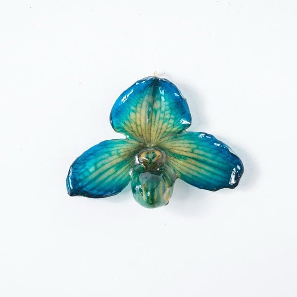 Real flower jewelry wholesale small Bellatulum pendant in blue color