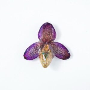 Real flower jewelry wholesale small Bellatulum pendant in violet color