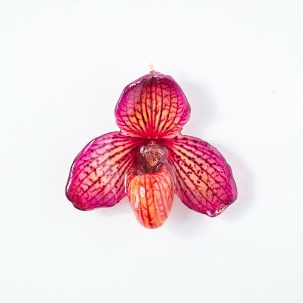 Real flower jewelry wholesale small Bellatulum pendant in pink color