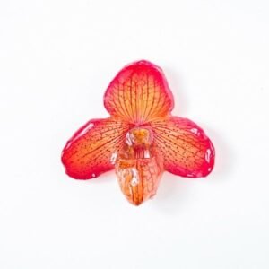 Real flower jewelry wholesale small Bellatulum pendant in orange color