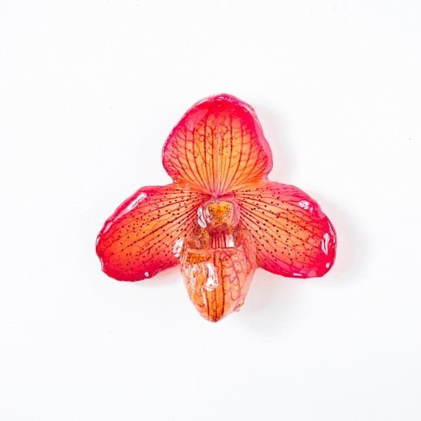 Real flower jewelry wholesale small Bellatulum pendant in orange color