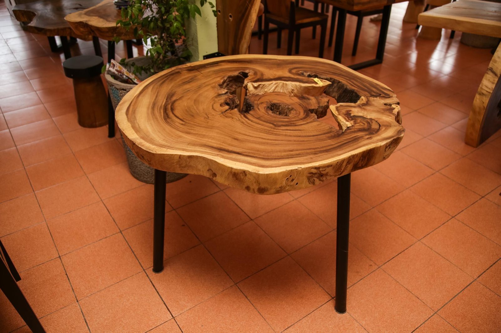 Suar wood Coffee Table