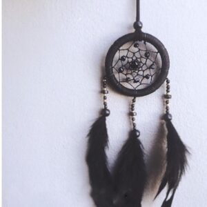 Dream Catcher ET 021