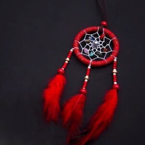 Dream Catcher RP 043