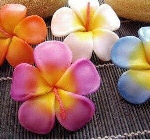 Candles & Incense TT 025