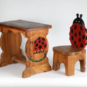 Table And Chair Ladybug 005