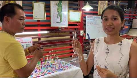 Blown Glass Animal Figurines Wholesale Supplier and His Available Designs